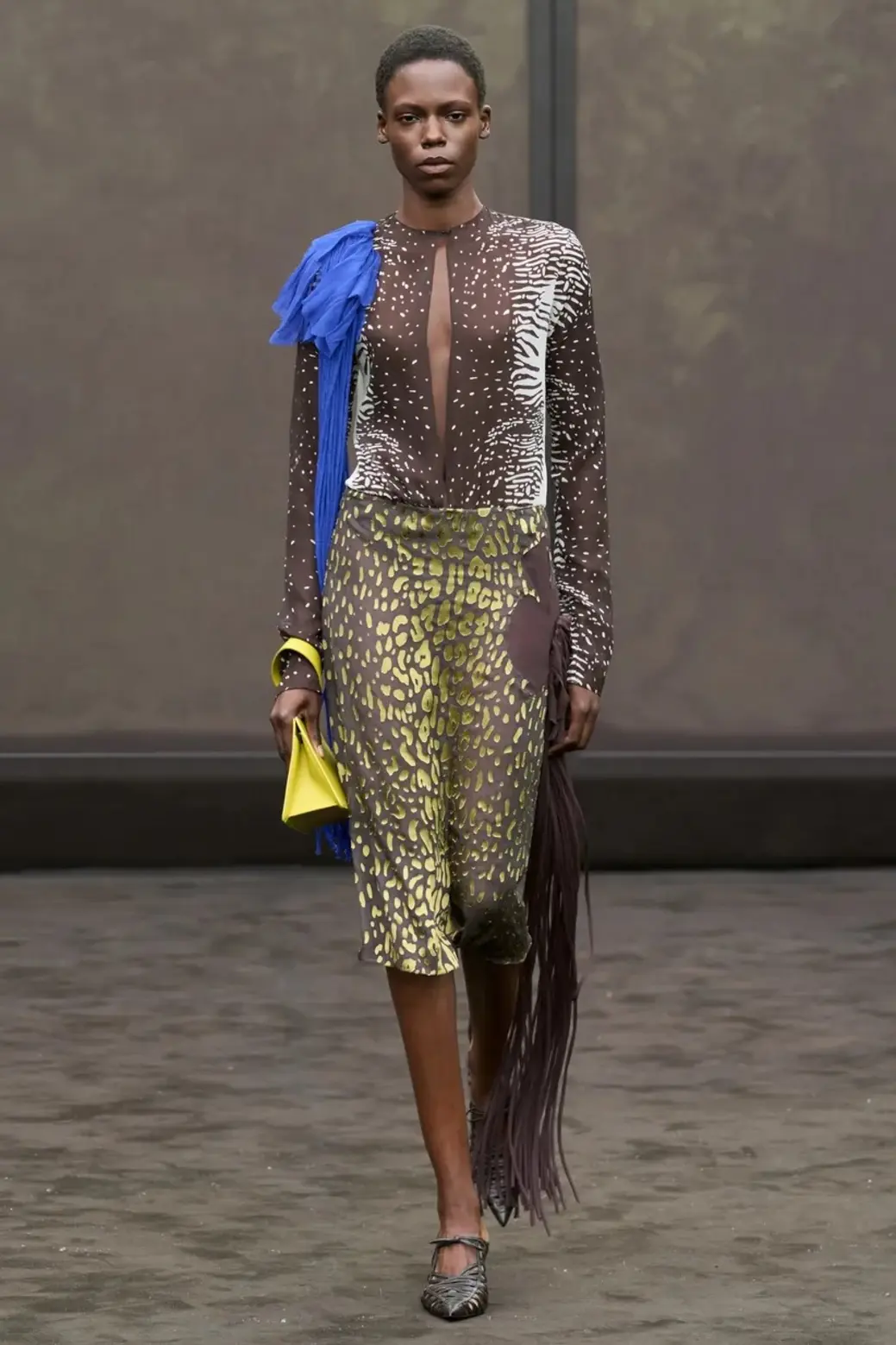 Spring 2026 print trends 11