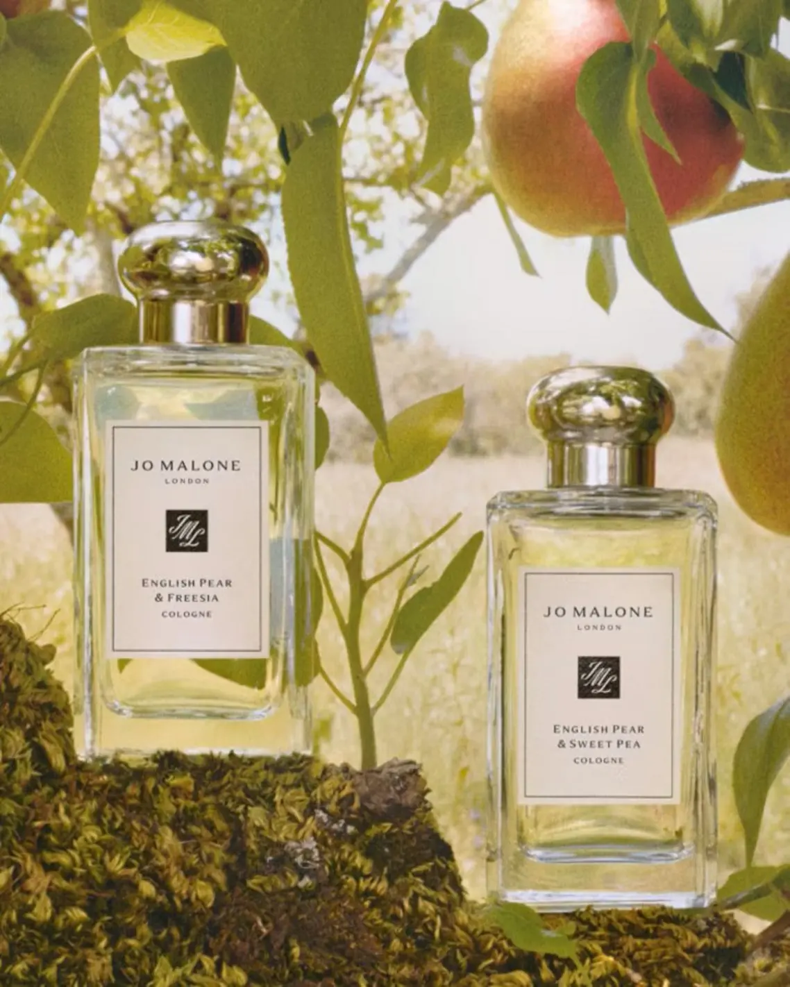 English Pear & Freesia by Jo Malone London