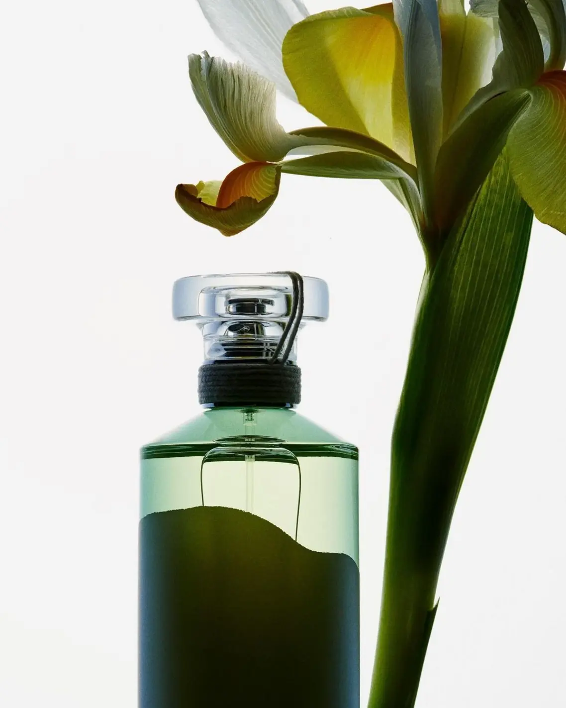 Freesia in Summer Perfume