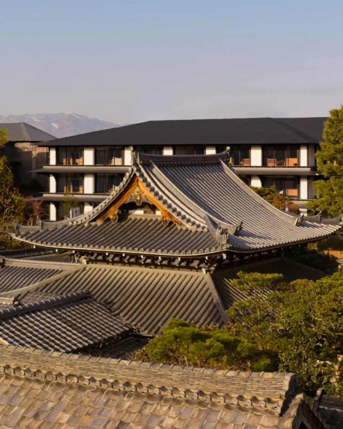 luxury hotels opening dates2