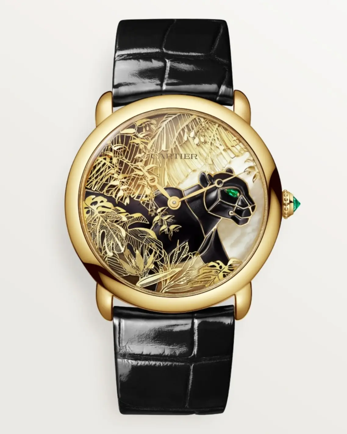 jewellery watches2