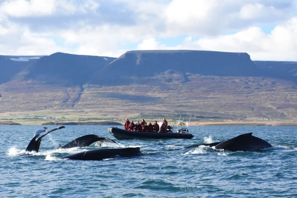 Iceland 2