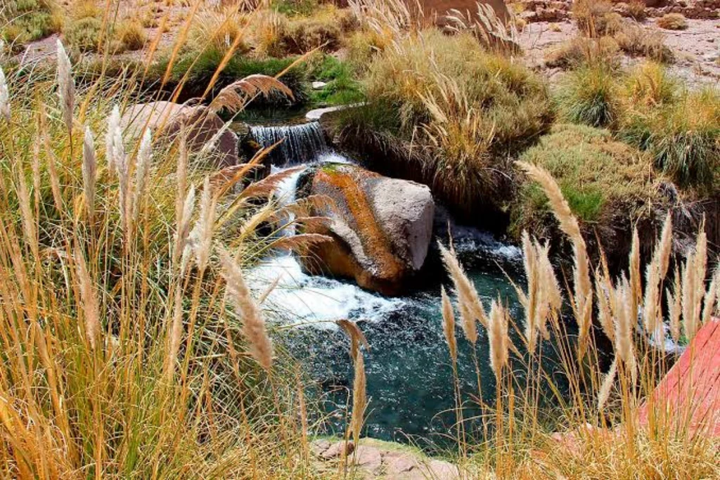 Atacama 2