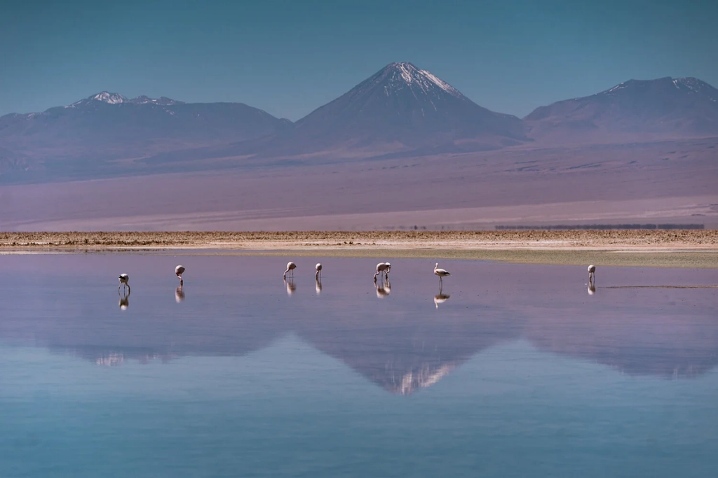Atacama