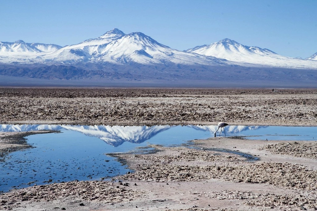 Atacama 2