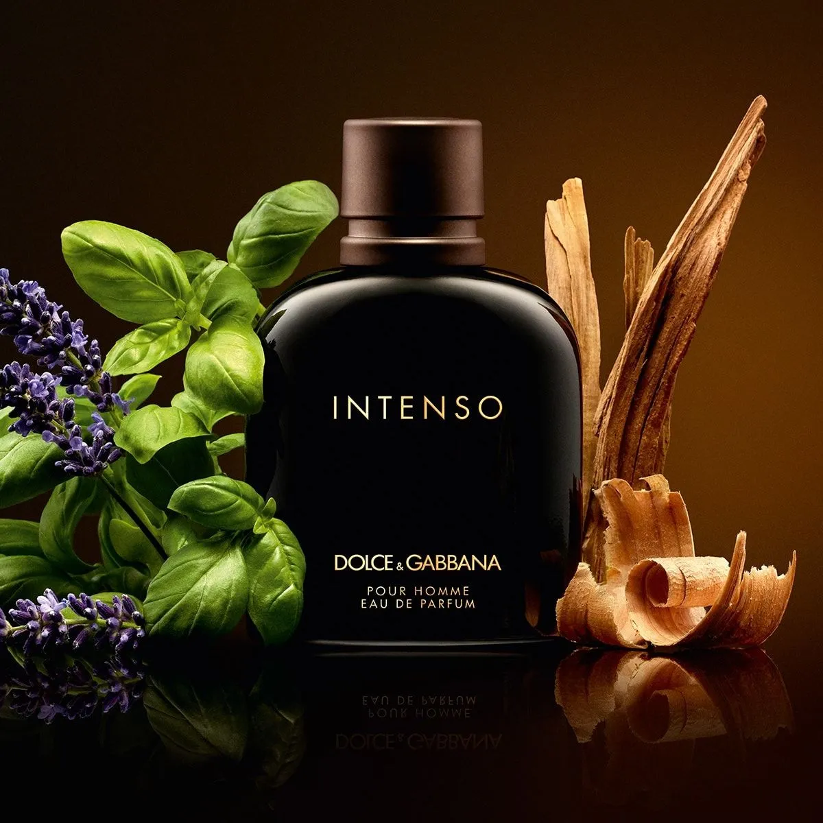 Intenso Dolce&Gabbana Perfume