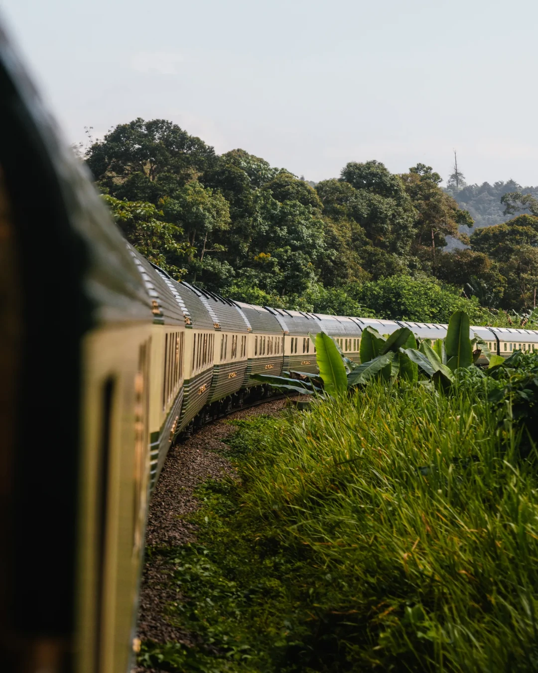 luxury rail travel