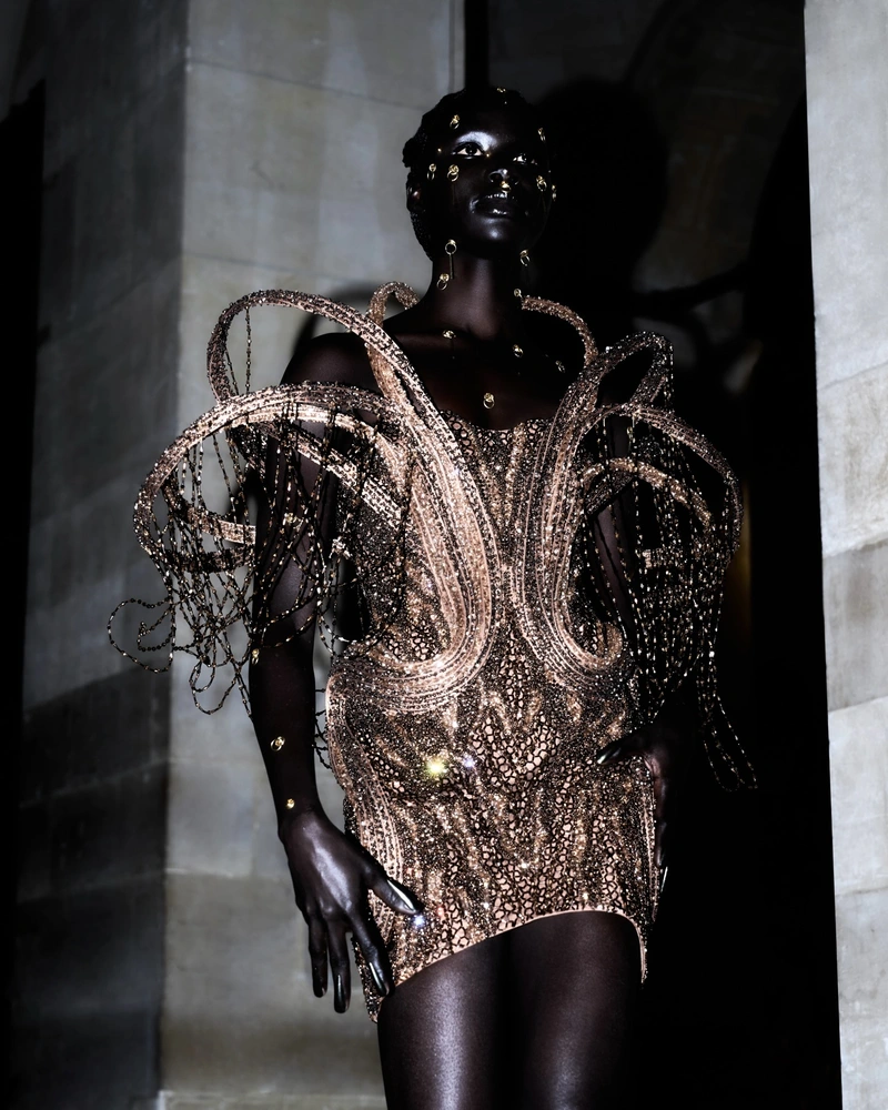 Who Answers When a Haute Couture Guest House Vanishes? 25