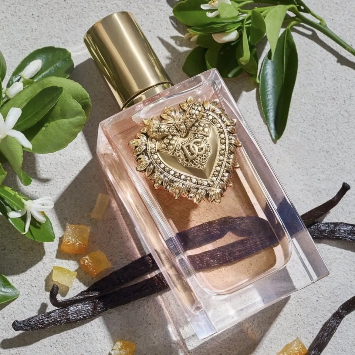 Devotion Dolce&Gabbana Perfume