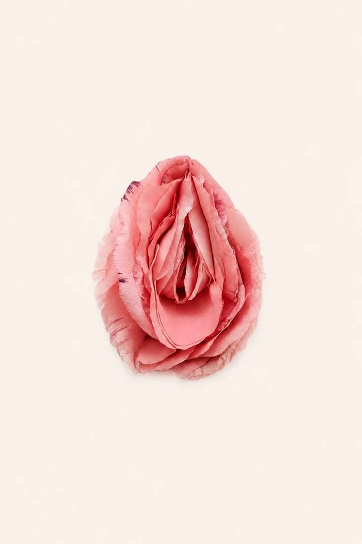 Labia Puff Procedure Redefining beauty in the private space