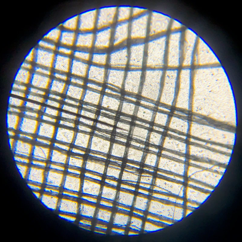 Organza Fabric: Floating Between Air and Radiance 4
