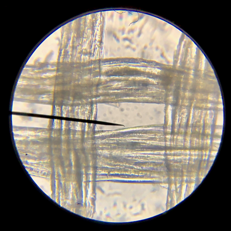Organza Fabric: Floating Between Air and Radiance 5