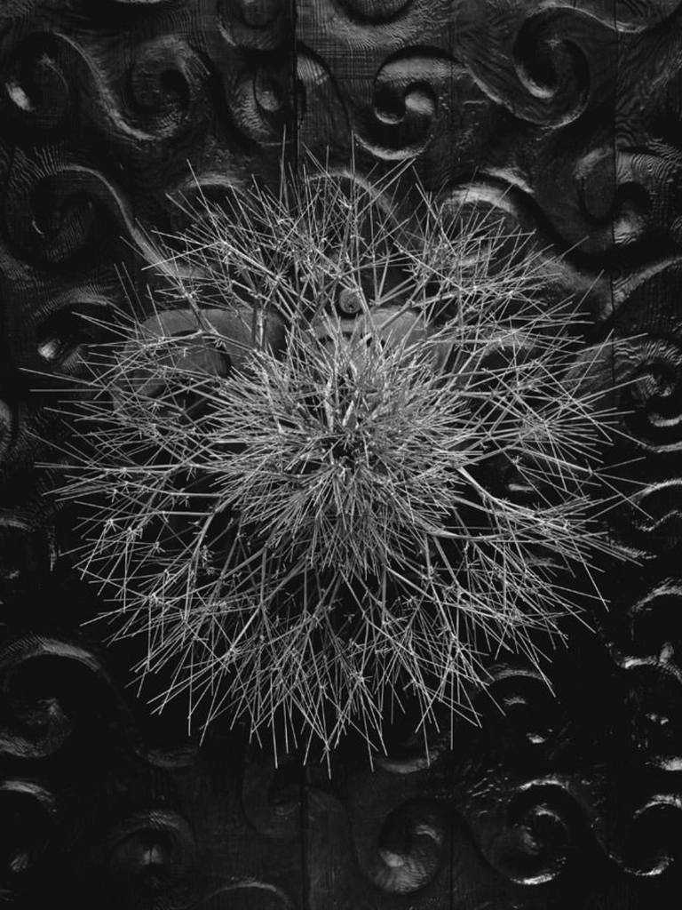 Ruth Asawa