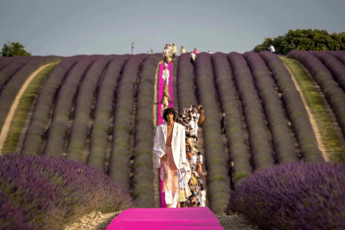Jacquemus 1
