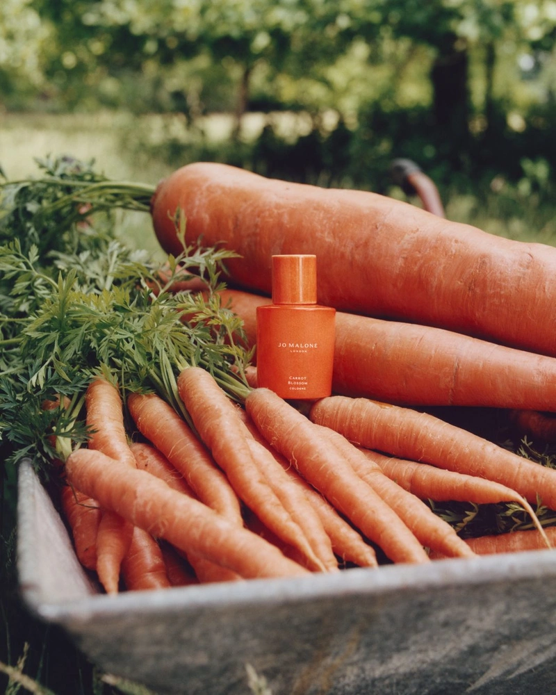 Vegetable Fragrance Brings the Harvest to Skin 4