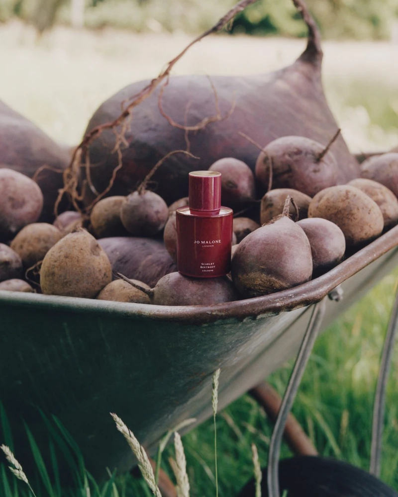 Vegetable Fragrance Brings the Harvest to Skin 3