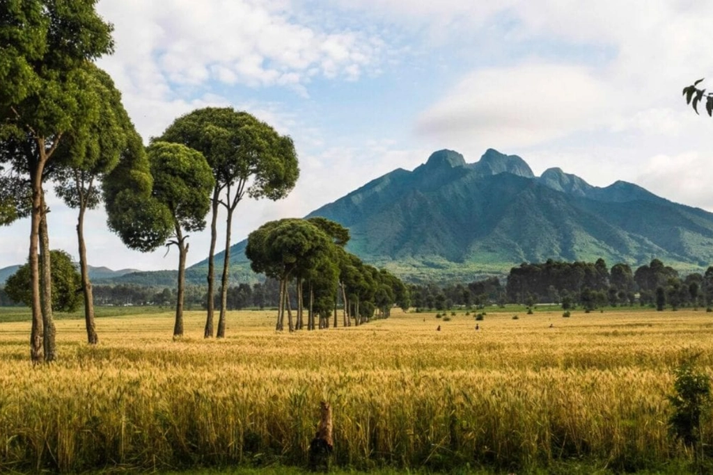 quietcation regenerative travel