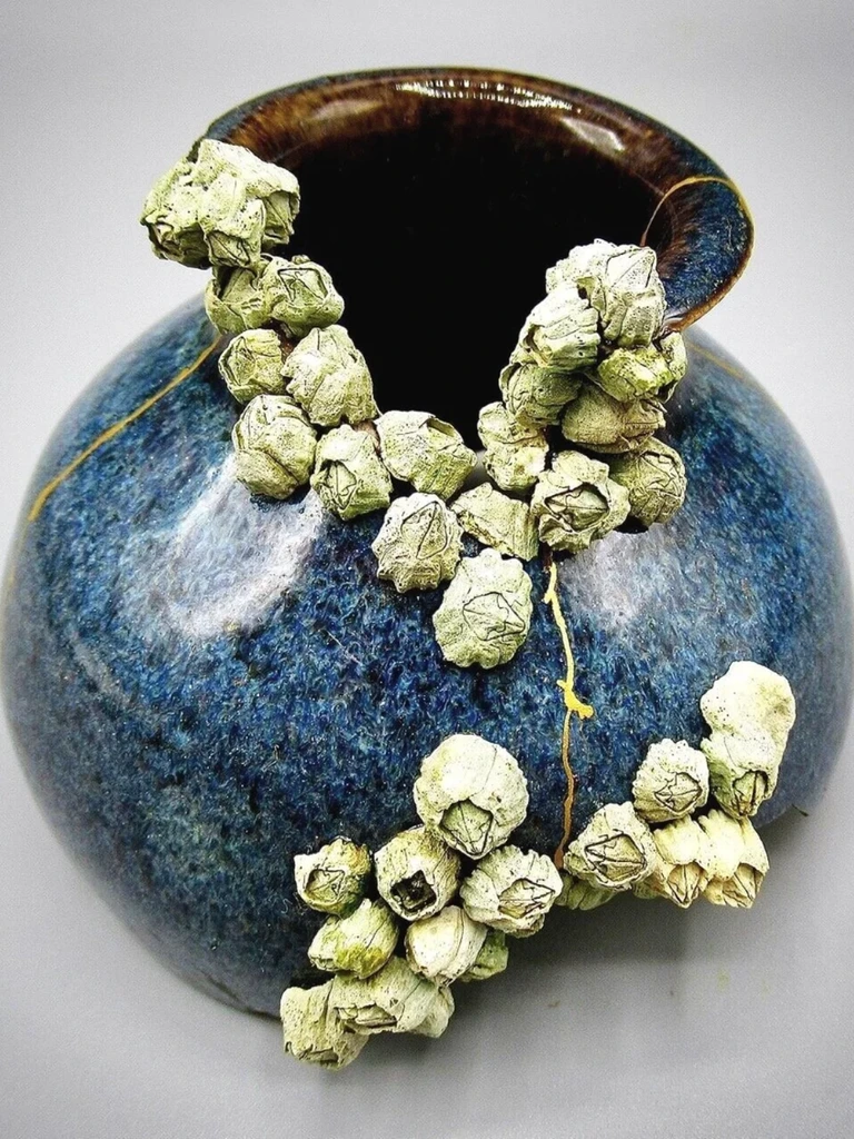 Ceramic Return-to-Rhythm Lifestyle