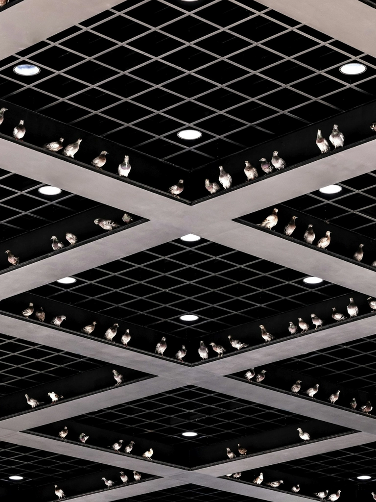 Maurizio Cattelan