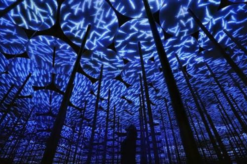 immersive artist