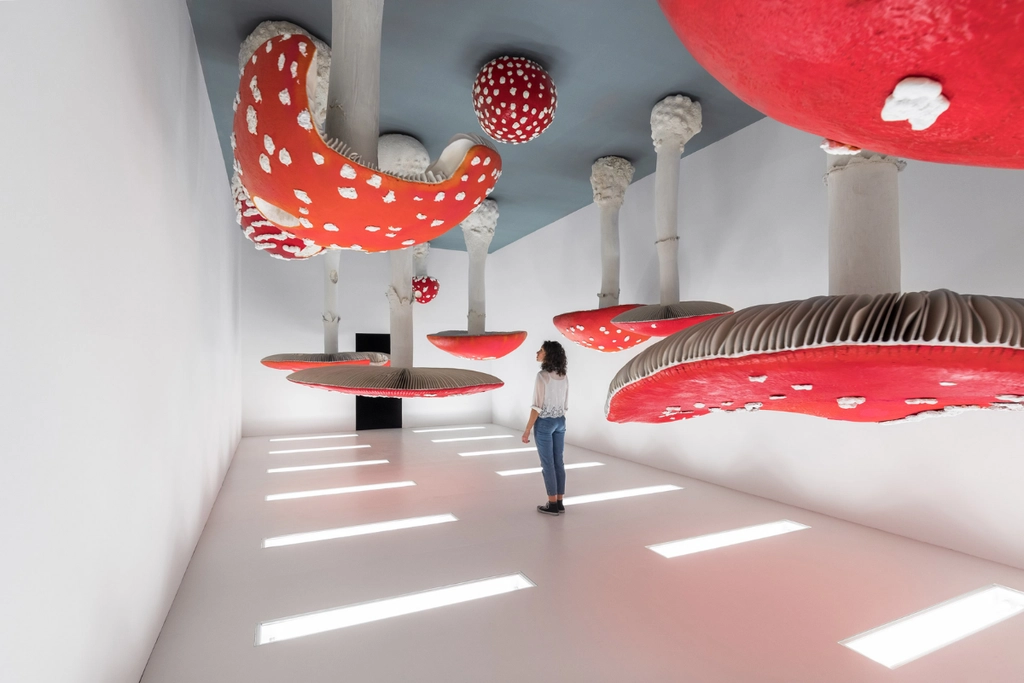 city as gallery