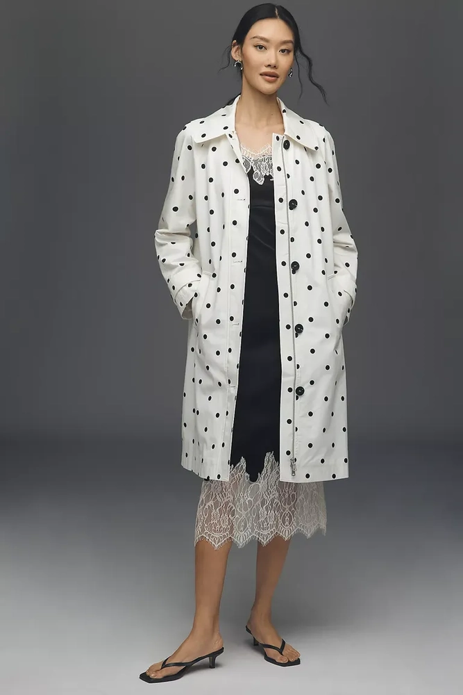 Polka Dot 31