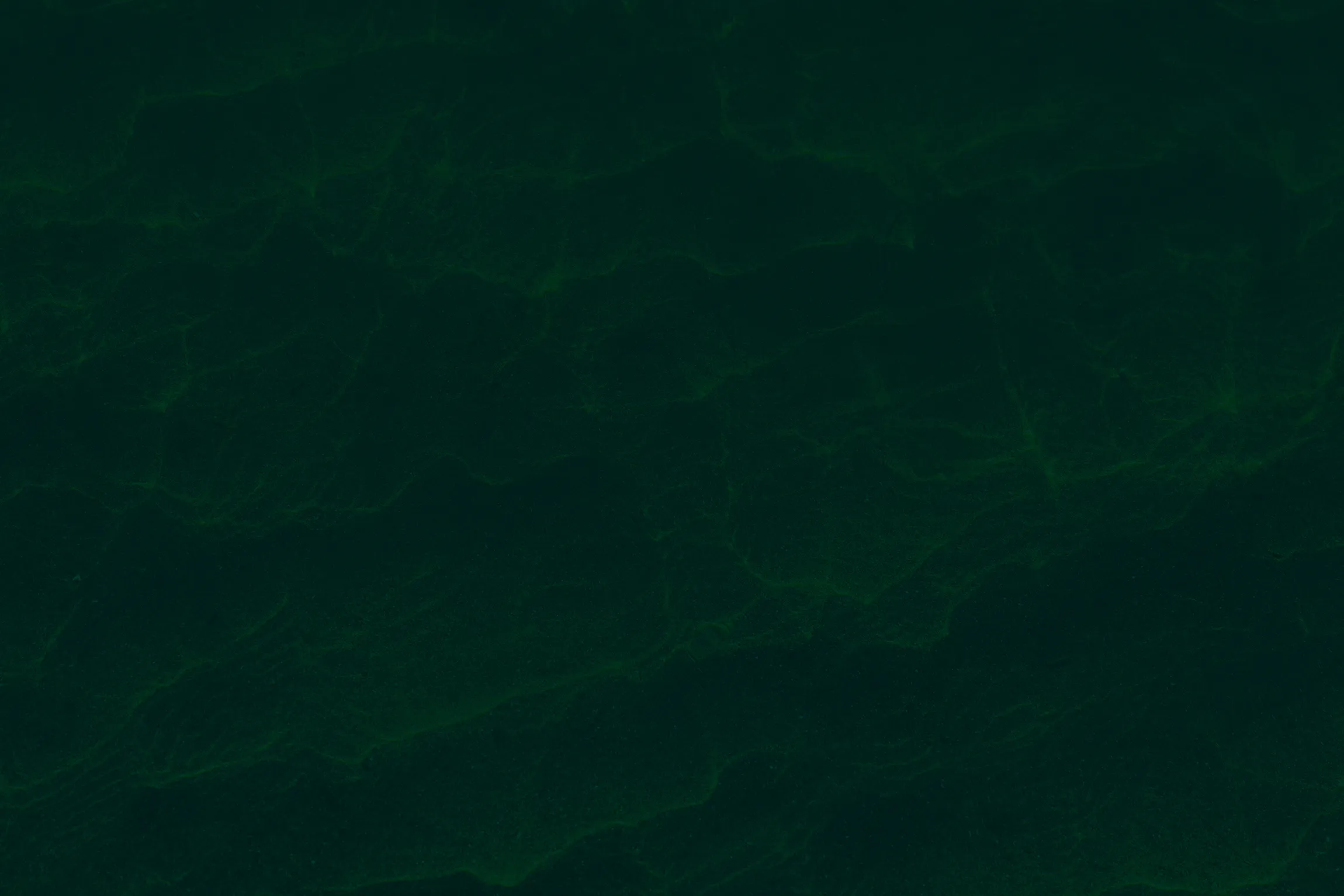 Dark textured background