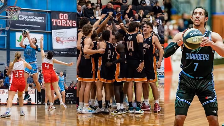 NBL1 in Tasmania