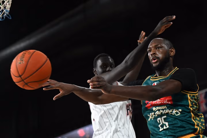 Imports shine as Tasmania down Illawarra