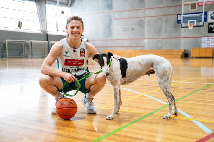JackJumpers ready to raise the woof with GAP Tasmania