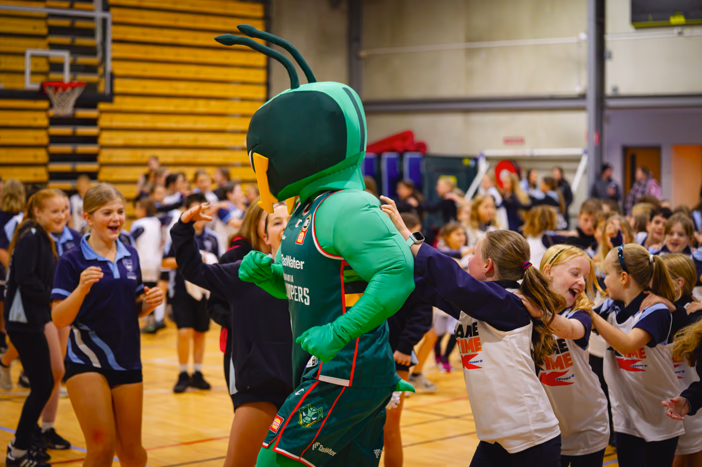 Basketball Clinics