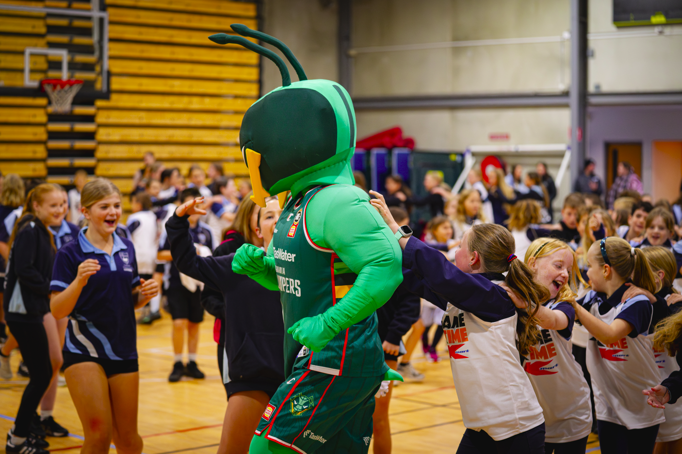 Basketball Clinics