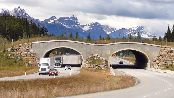 two tunnels covered by wildlife bridge in Canada