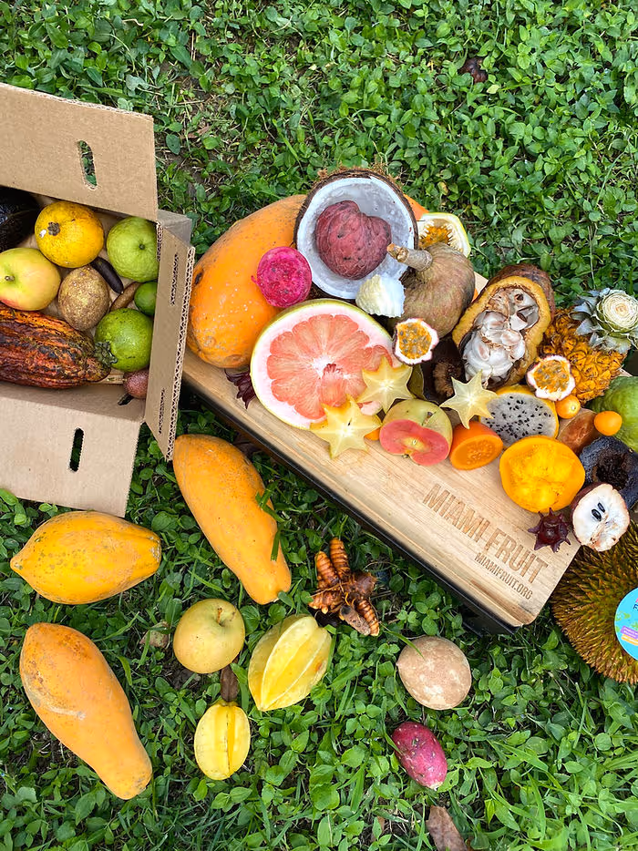 platter of assorted exotic fruit grown by Miami Fruit in South Florida