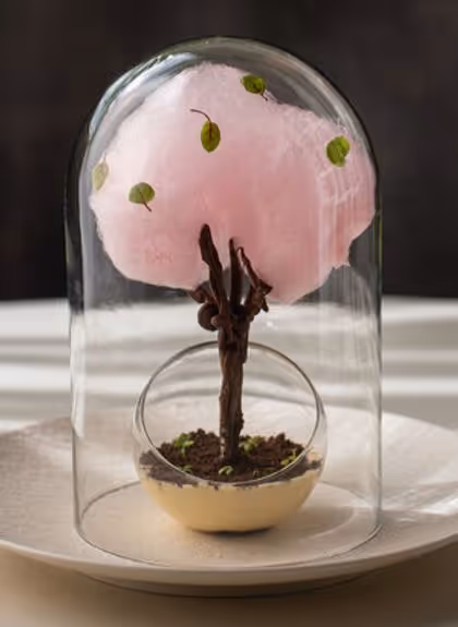 cotton candy dessert on top of chocolate tree
