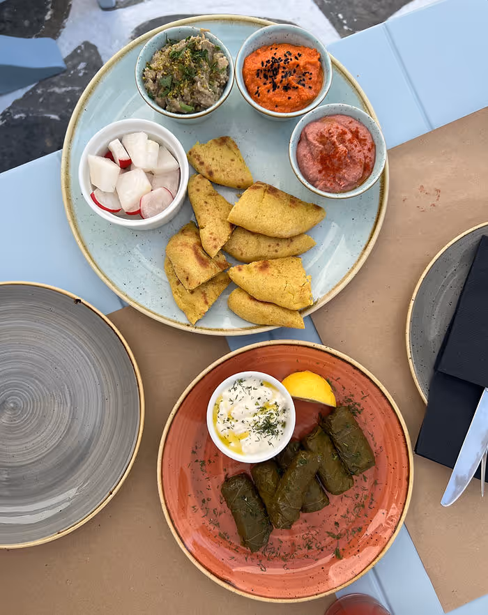 plates of traditional greek food including dolmades, pita bread, and a hummus trio