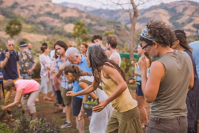 A group of people picking food from trees around property