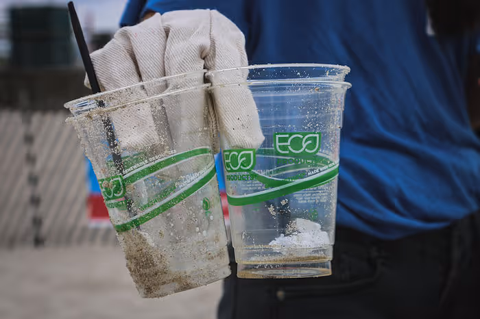 plastic cups in gloved hand