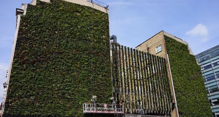 large office building covered in greenery