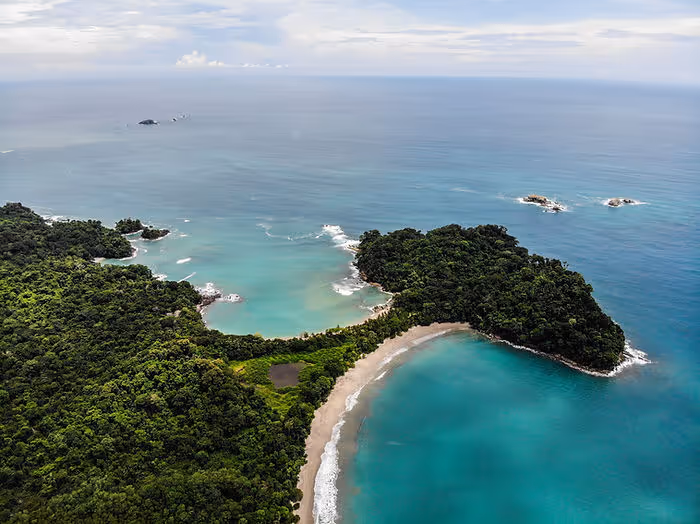 A green peninsula sticks out into the ocean