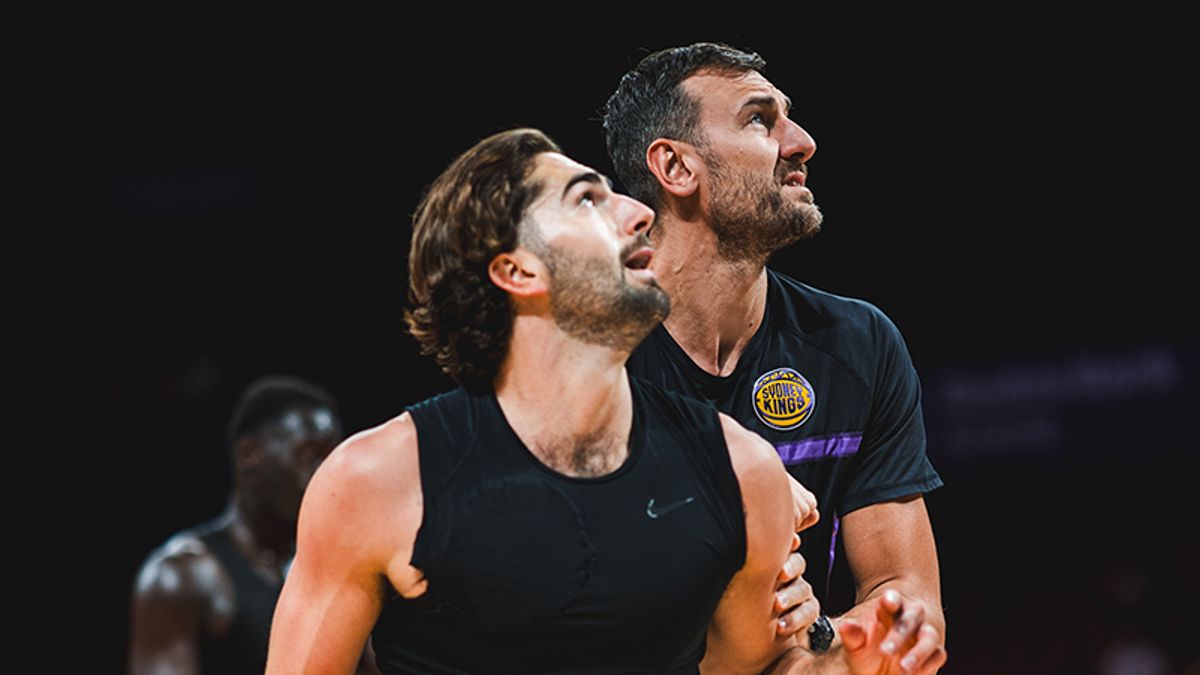 Ab & Hg Guard Sml