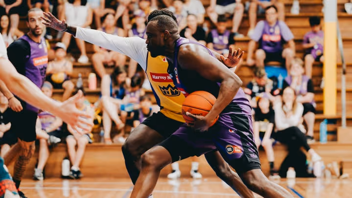 Kings host members open training at Auburn