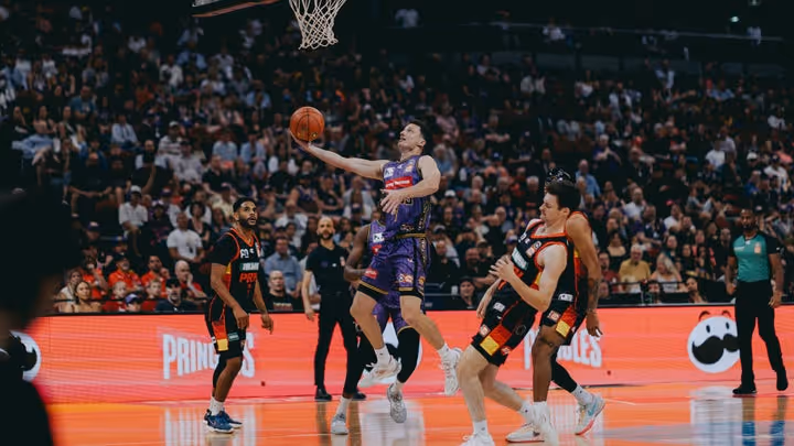 Kings power NBL to unprecedented numbers
