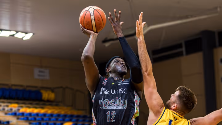 NBL1 North honours for Kings quartet