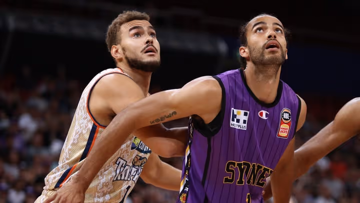 Cooks confident Hogg will do 'great' things for Kings