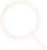 magnifying glass icon