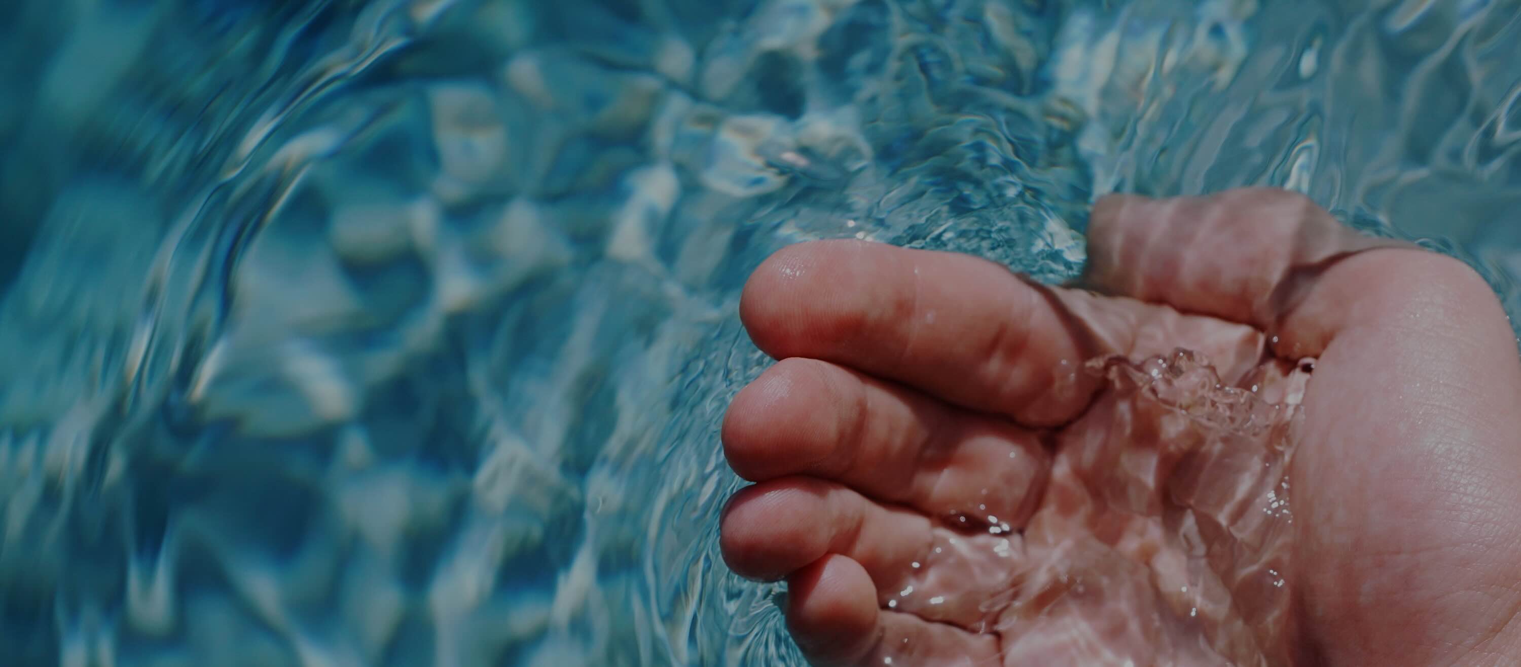 El sistema hydrosfera d'Aqua Wise.