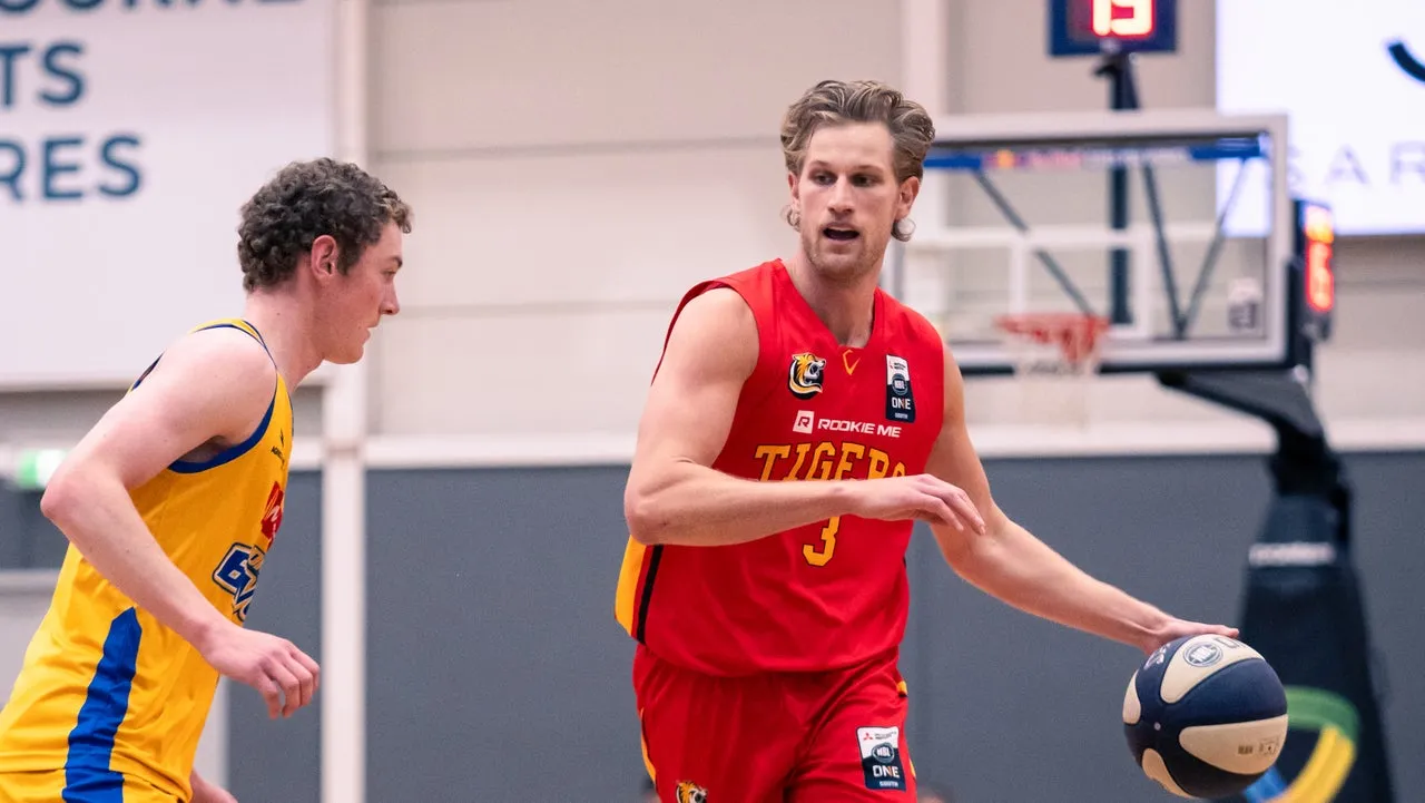 Off-season Games Wrap: Wilson helps Tigers continue climb up NBL1 ladder