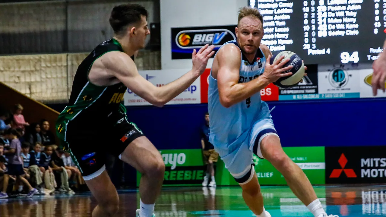 United stars go to work across NBL1, Europe
