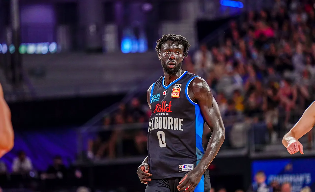 NBL23 Free Agents revealed